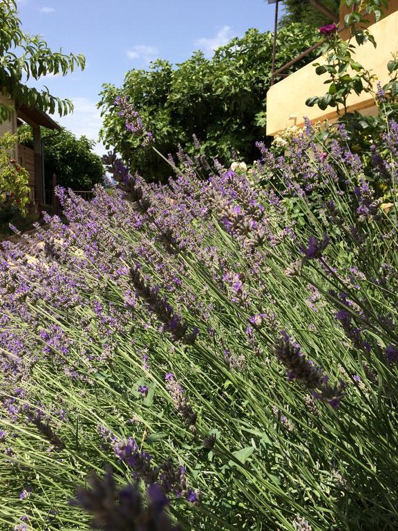 Mézoargues Mas Moineau Bed & Breakfast エクステリア 写真